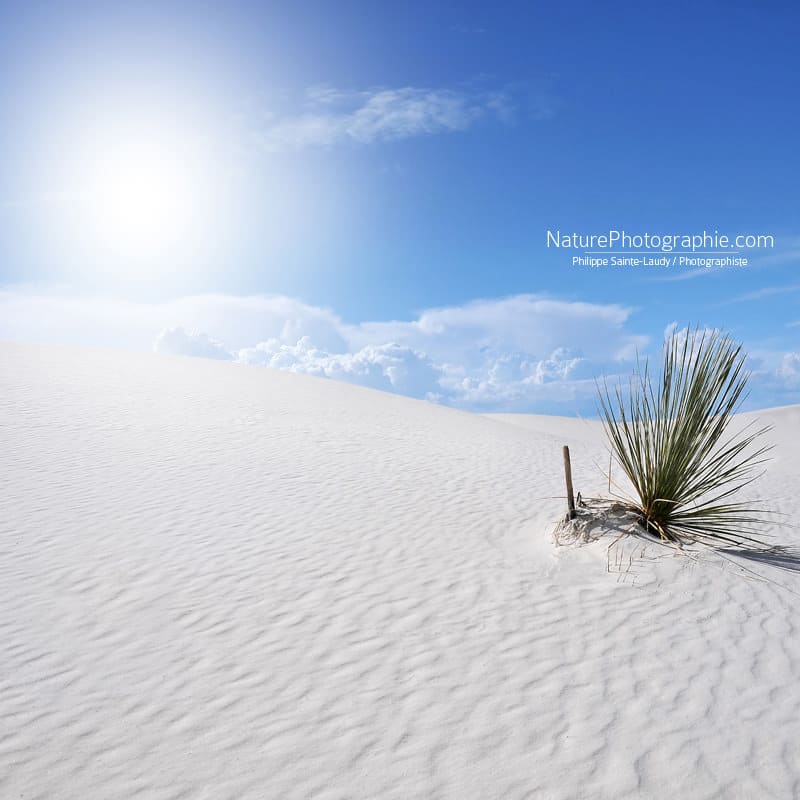 Soleil-Blanc