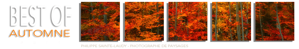 Best Of Automne 2011