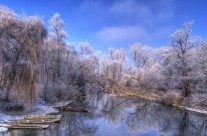 La Photo en hiver