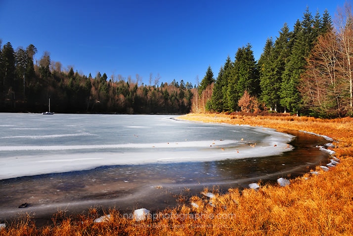 Lac de Pierre-Percée - NATUREPHOTOGRAPHIE