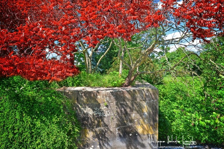 Le temps des couleurs
