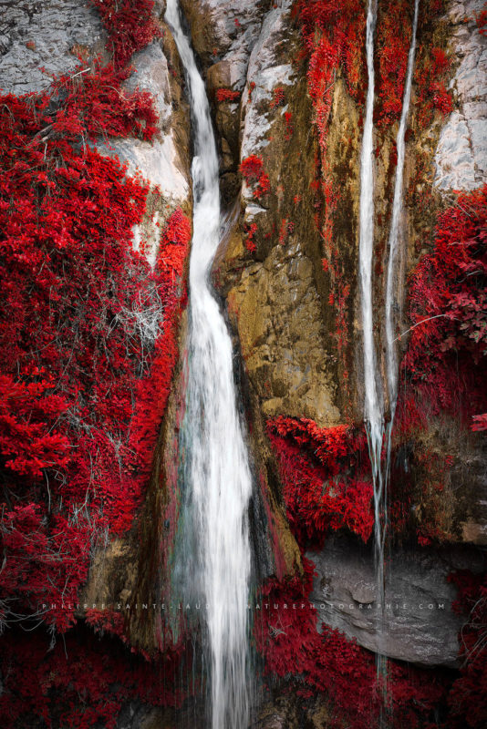 Earth Song