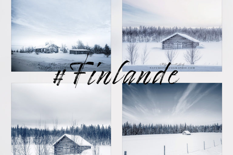 Maisons en bois sous la neige de Finlande