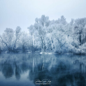 Leave to Soon Bleu hiver