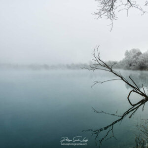 Uncertain View Reflet d'une branche dans un étang