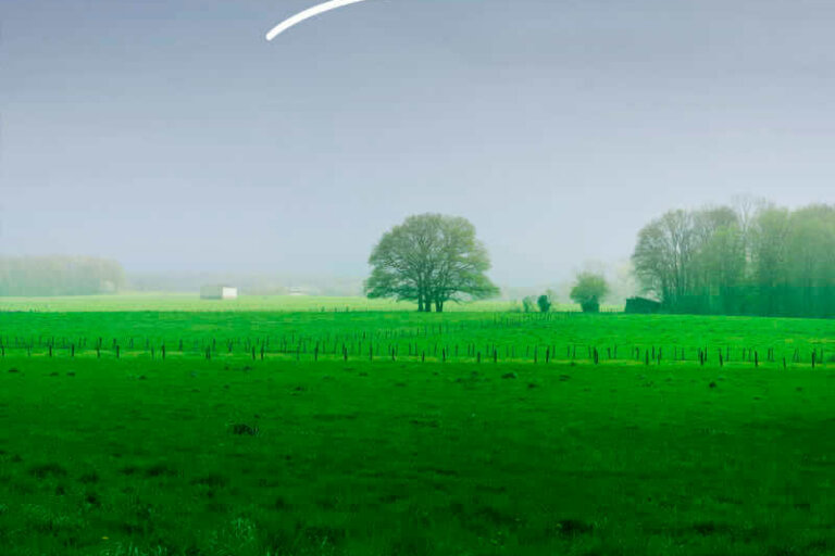 Paysages aux couleurs du printemps
