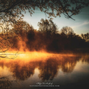 A Walk On Liquid Time