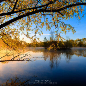 Another Glorious Day