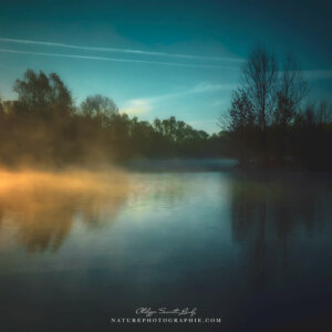 Art Is An Act Of Hope.