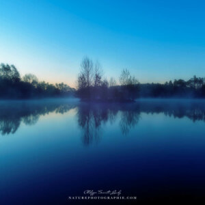 Freedom, Is A State Of Mind