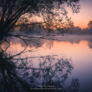 I Don't Mind Waiting