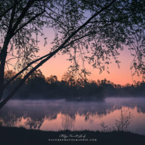 Imagination, Unlocked