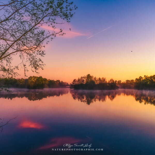 Light Doesn’t Chase Darkness It Just Decides To Exist