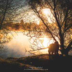 Maddy dans le soleil