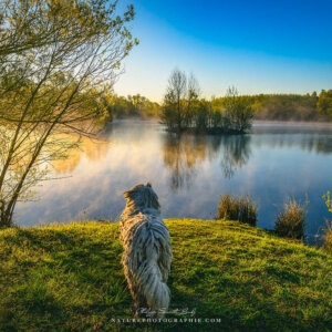 Maddy en contemplation