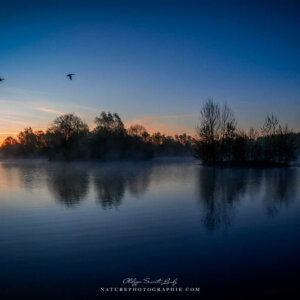 Reflections of the Soul