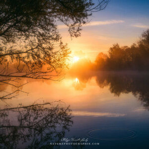 Ride The Rhythm Of Light