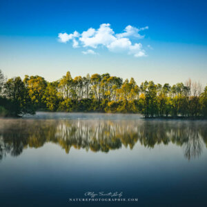 The Clouds Remain Silent