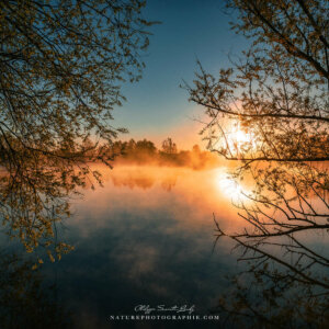 Truth Doesn’t Blend