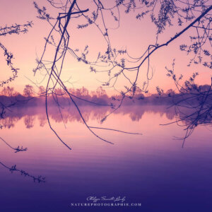 Truth Is Too Loud. I Lowered The Brightness.