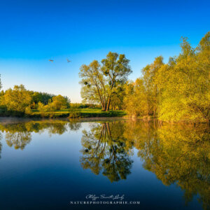 Two Truths And A Lie