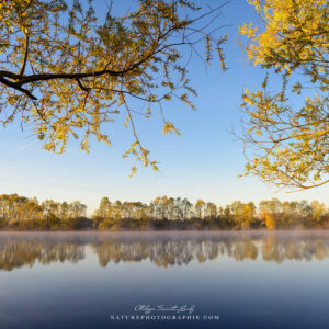 Verticality on the Horizon