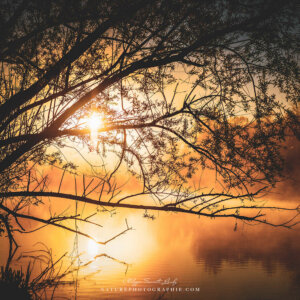 We'll Always Be Together