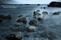 Bleu Metallique