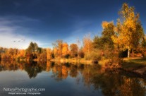 Ruée vers l&rsquo;Or