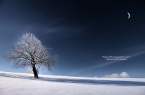 Bleu comme Neige