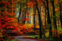 Route Coloré
