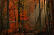 Poésie des couleurs
