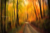 Welcome To My Fall