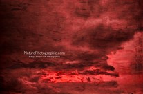 Le Ciel Pleure