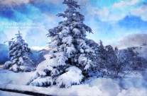 Mon Beau Sapin