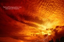 Orage Rouge