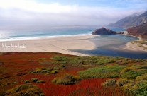 Pacific Coast Highway