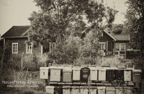 Poste restante