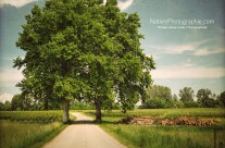 Route de Campagne