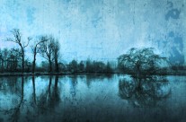 Réflexion Bleu