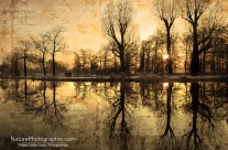 Réflexion Jaune