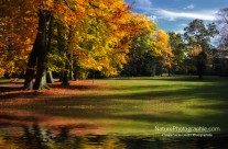 Jaune d&rsquo;Automne