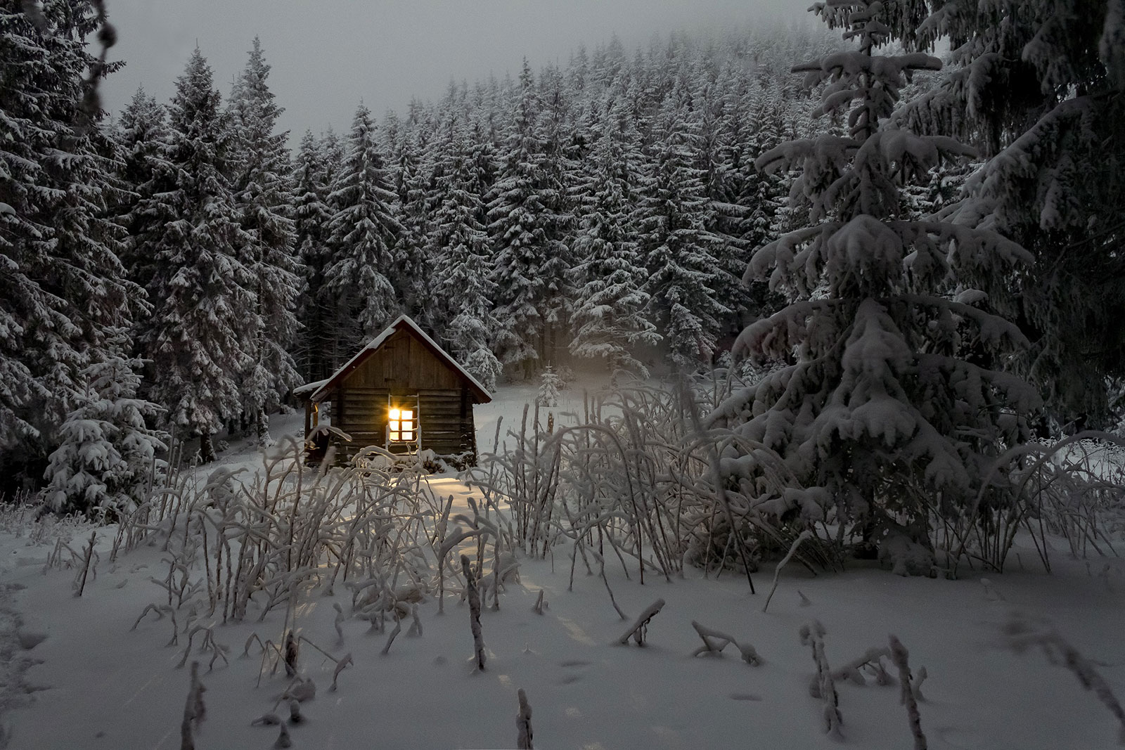Nature Photographie