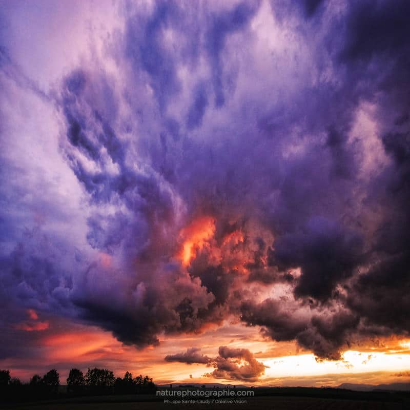 Apocalypse