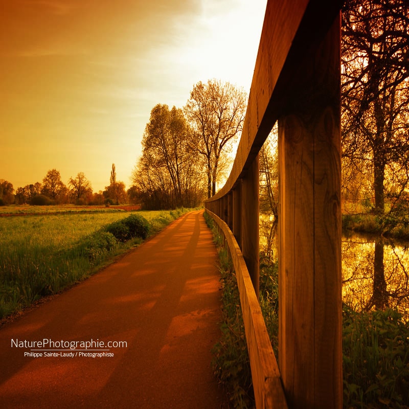 Basse-Route