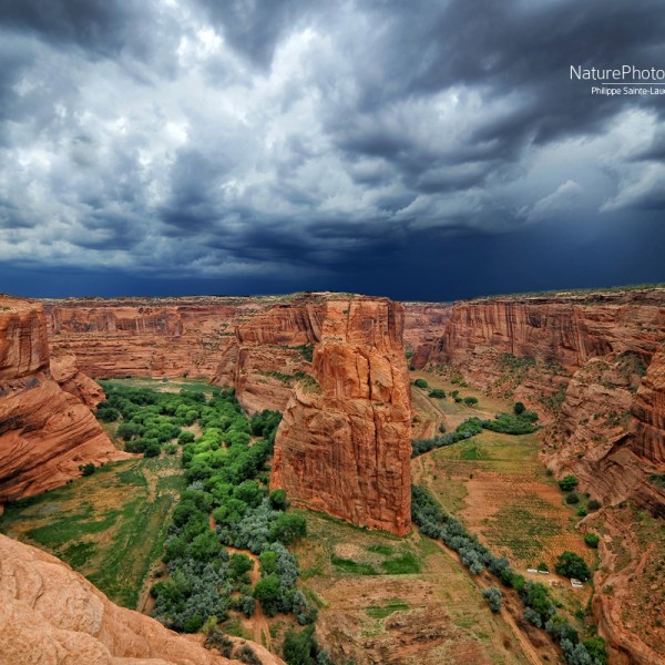 Canyon de Chelly