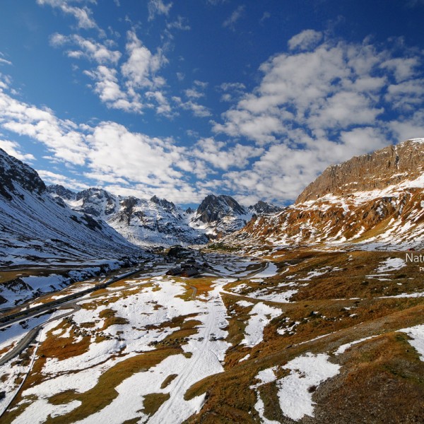 Humilité et Arrogance