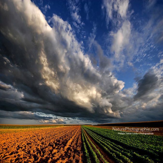 Les-Forces-du-Ciel