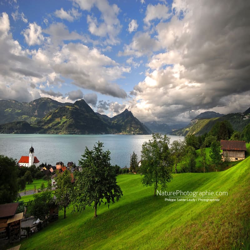 Lucerne