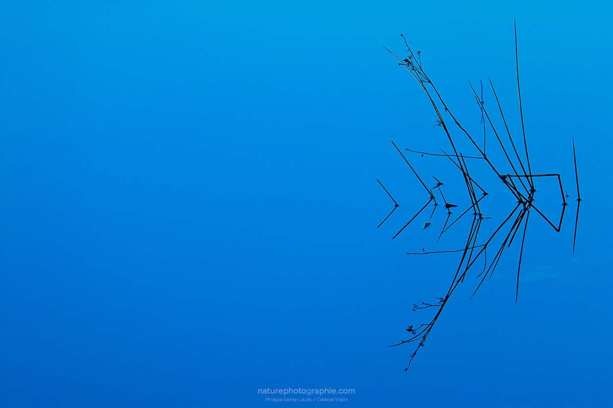 Minimalisme